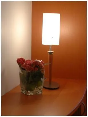 Otel South Airport 2*